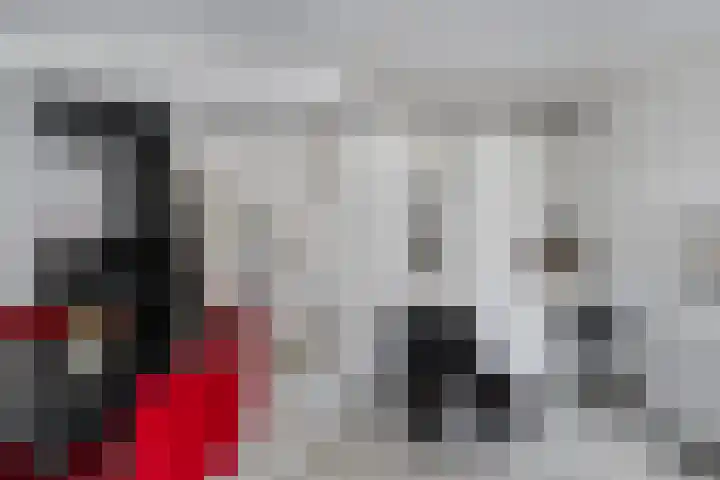 Lariksdreef 33 Vlaardingen thumbnail 15