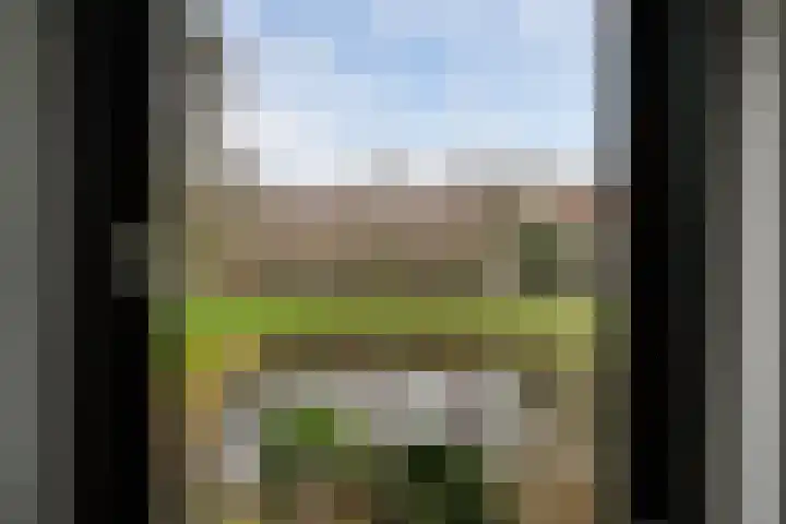 Lariksdreef 33 Vlaardingen thumbnail 16