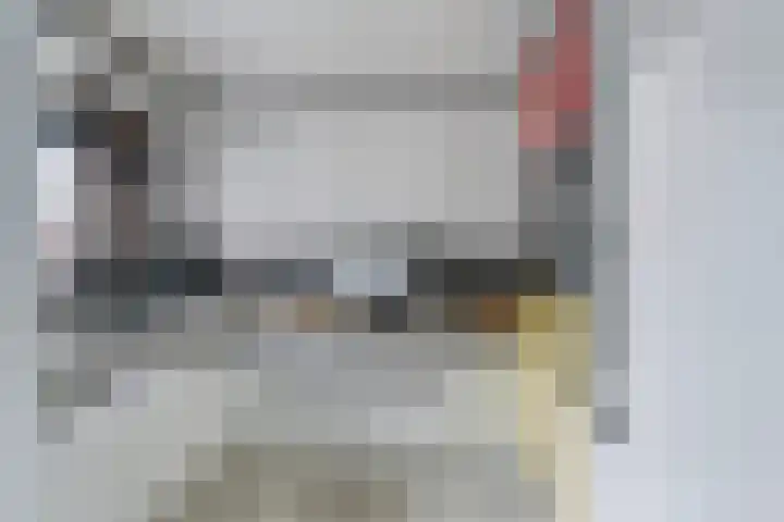 Lariksdreef 33 Vlaardingen thumbnail 17