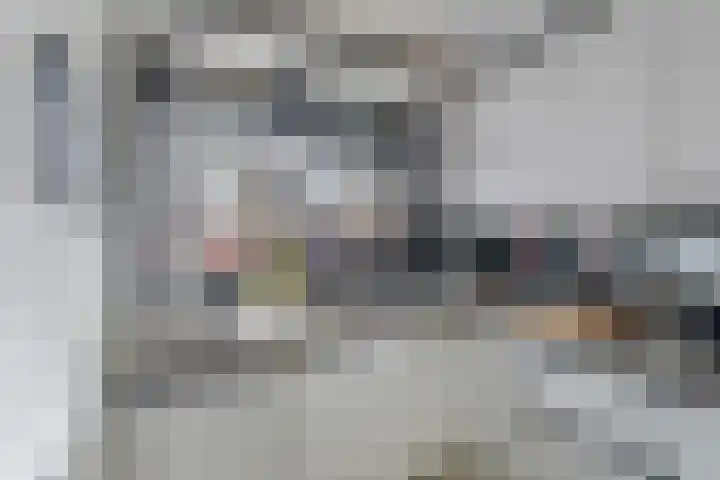 Lariksdreef 33 Vlaardingen thumbnail 18
