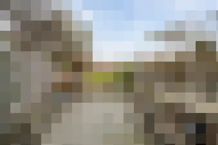 Lariksdreef 33 Vlaardingen thumbnail 20