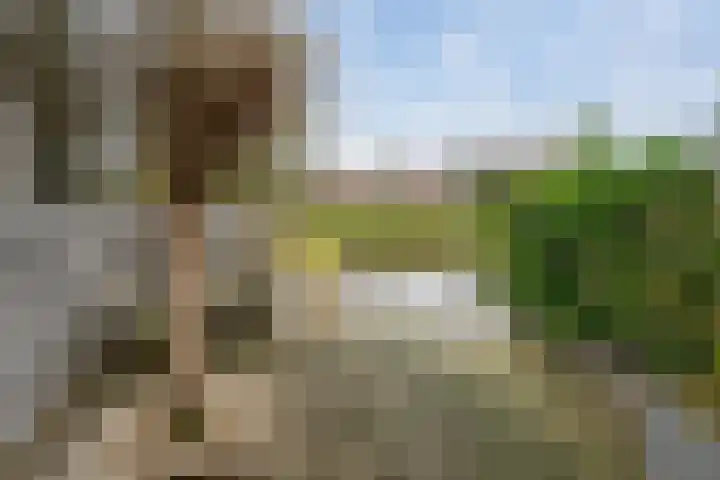 Lariksdreef 33 Vlaardingen thumbnail 21