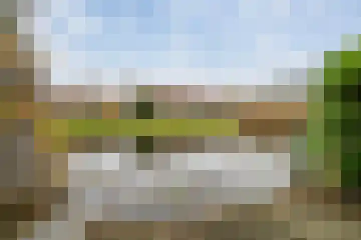 Lariksdreef 33 Vlaardingen thumbnail 22