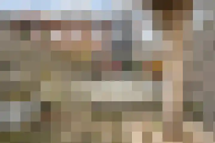 Lariksdreef 33 Vlaardingen thumbnail 23
