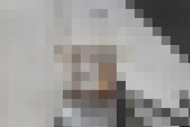 Lariksdreef 33 Vlaardingen thumbnail 25