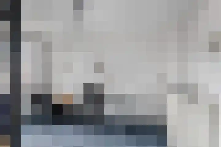 Lariksdreef 33 Vlaardingen thumbnail 26
