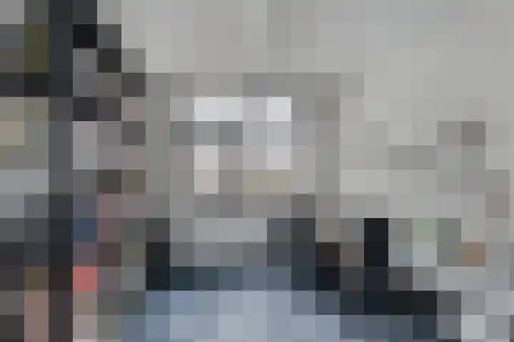 Lariksdreef 33 Vlaardingen thumbnail 27