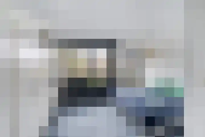 Lariksdreef 33 Vlaardingen thumbnail 29