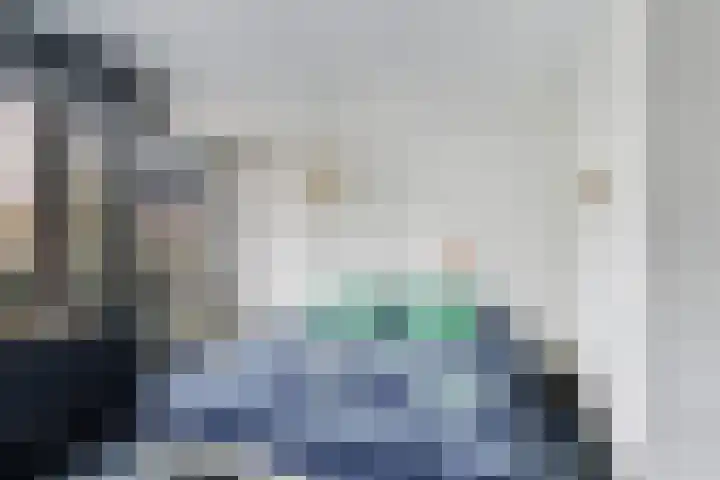 Lariksdreef 33 Vlaardingen thumbnail 30