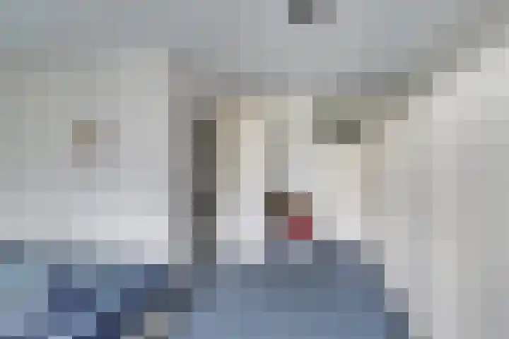 Lariksdreef 33 Vlaardingen thumbnail 31