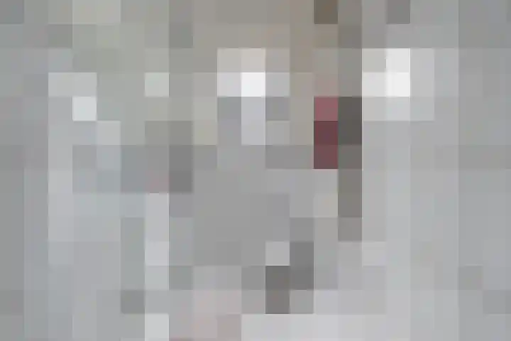 Lariksdreef 33 Vlaardingen thumbnail 33