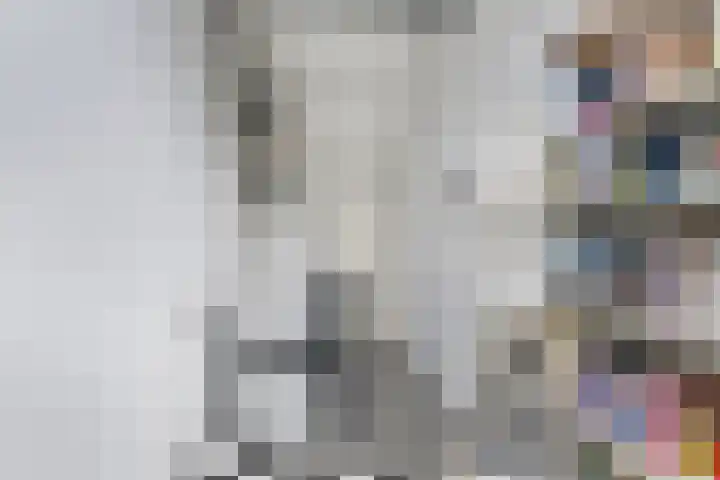Lariksdreef 33 Vlaardingen thumbnail 35