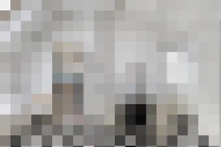 Lariksdreef 33 Vlaardingen thumbnail 36