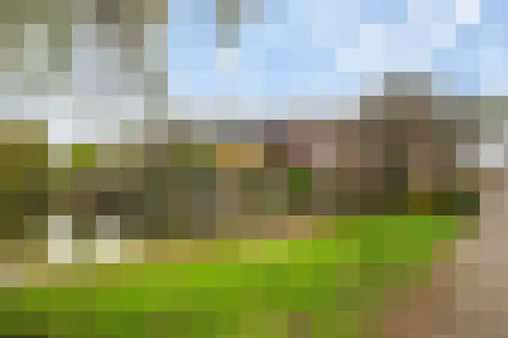 Lariksdreef 33 Vlaardingen thumbnail 39