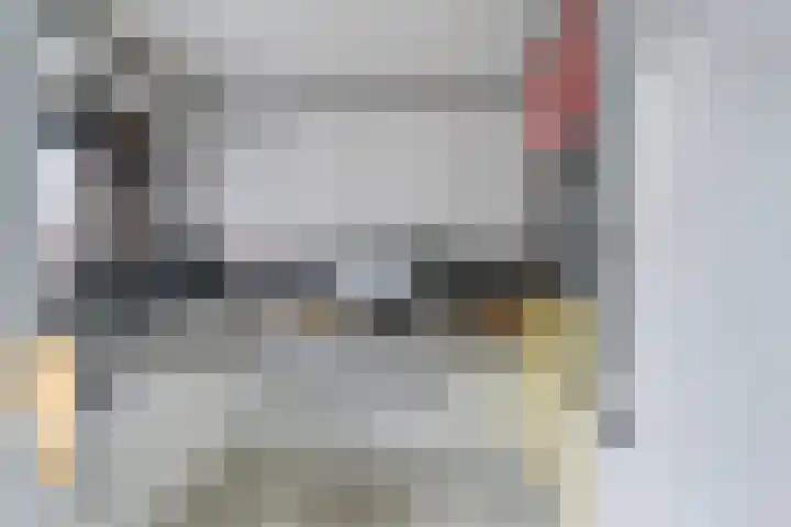 Lariksdreef 33 Vlaardingen thumbnail 4