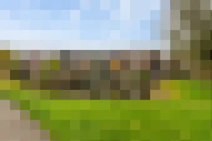 Lariksdreef 33 Vlaardingen thumbnail 40