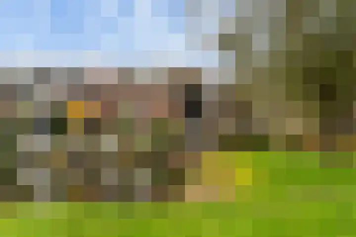 Lariksdreef 33 Vlaardingen thumbnail 41