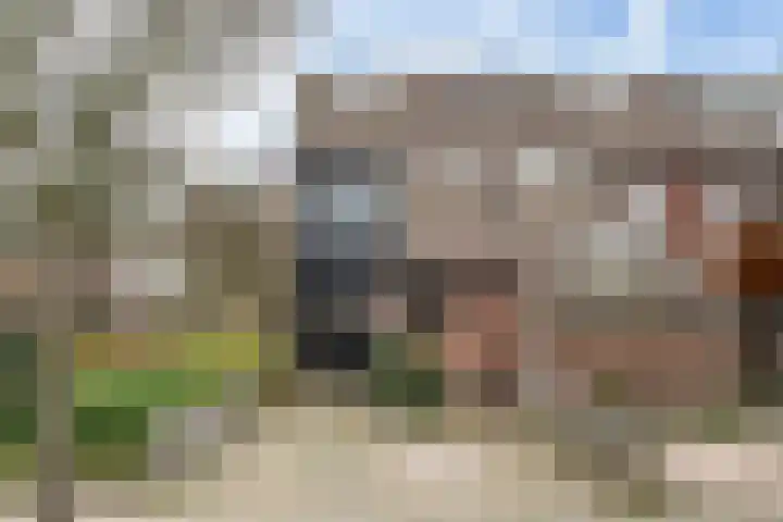 Lariksdreef 33 Vlaardingen thumbnail 7