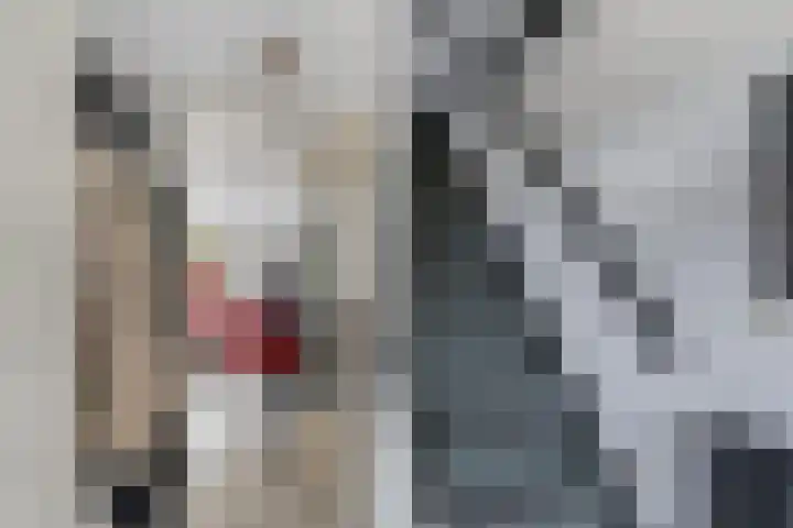 Lariksdreef 33 Vlaardingen thumbnail 9