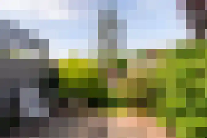 Lariksdreef 71 Vlaardingen thumbnail 18