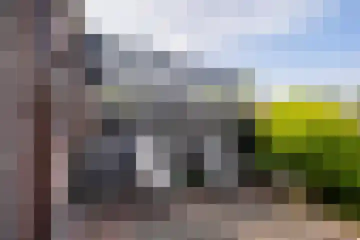 Lariksdreef 71 Vlaardingen thumbnail 19