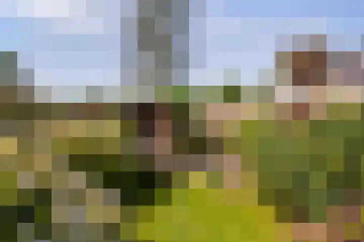 Lariksdreef 71 Vlaardingen thumbnail 20
