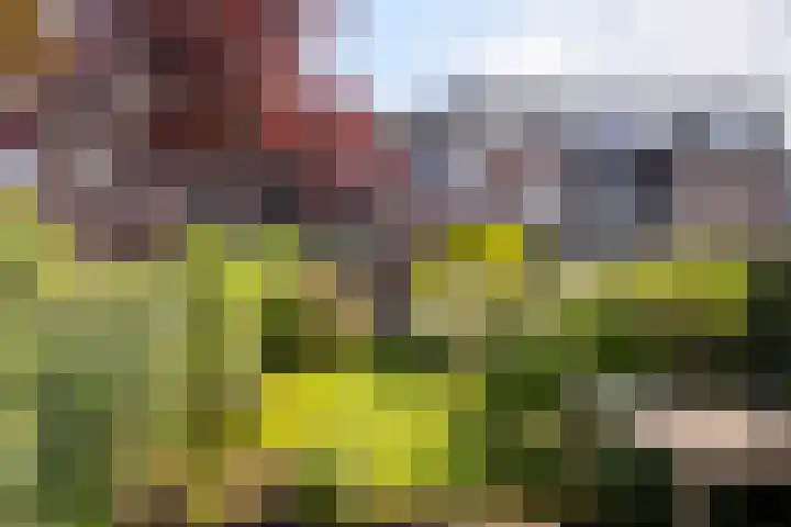 Lariksdreef 71 Vlaardingen thumbnail 21