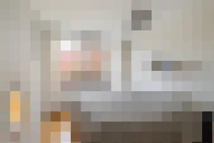 Lariksdreef 71 Vlaardingen thumbnail 23