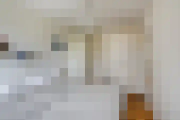 Lariksdreef 71 Vlaardingen thumbnail 25