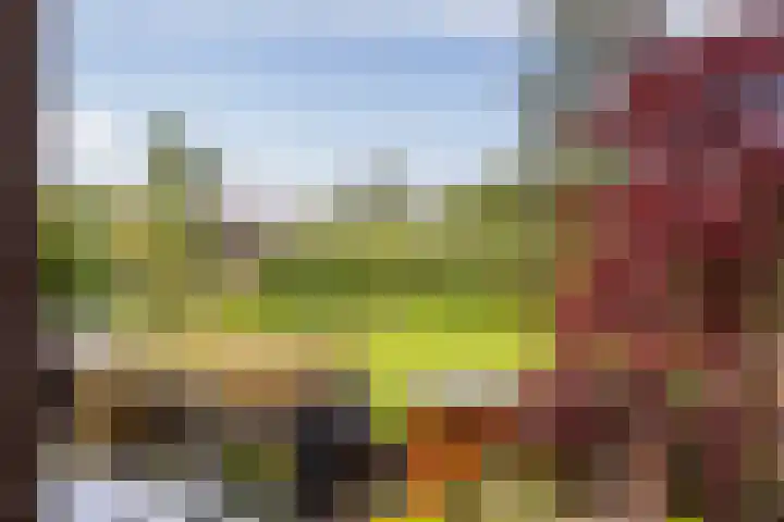 Lariksdreef 71 Vlaardingen thumbnail 39