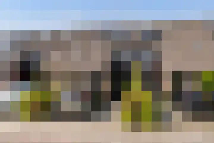 Lariksdreef 71 Vlaardingen thumbnail 6