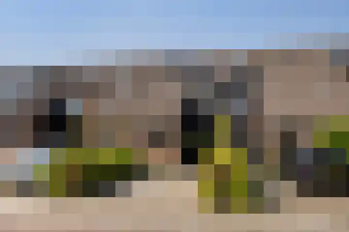 Lariksdreef 71 Vlaardingen thumbnail 7