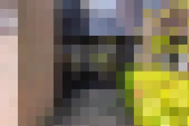 Lariksdreef 71 Vlaardingen thumbnail 8