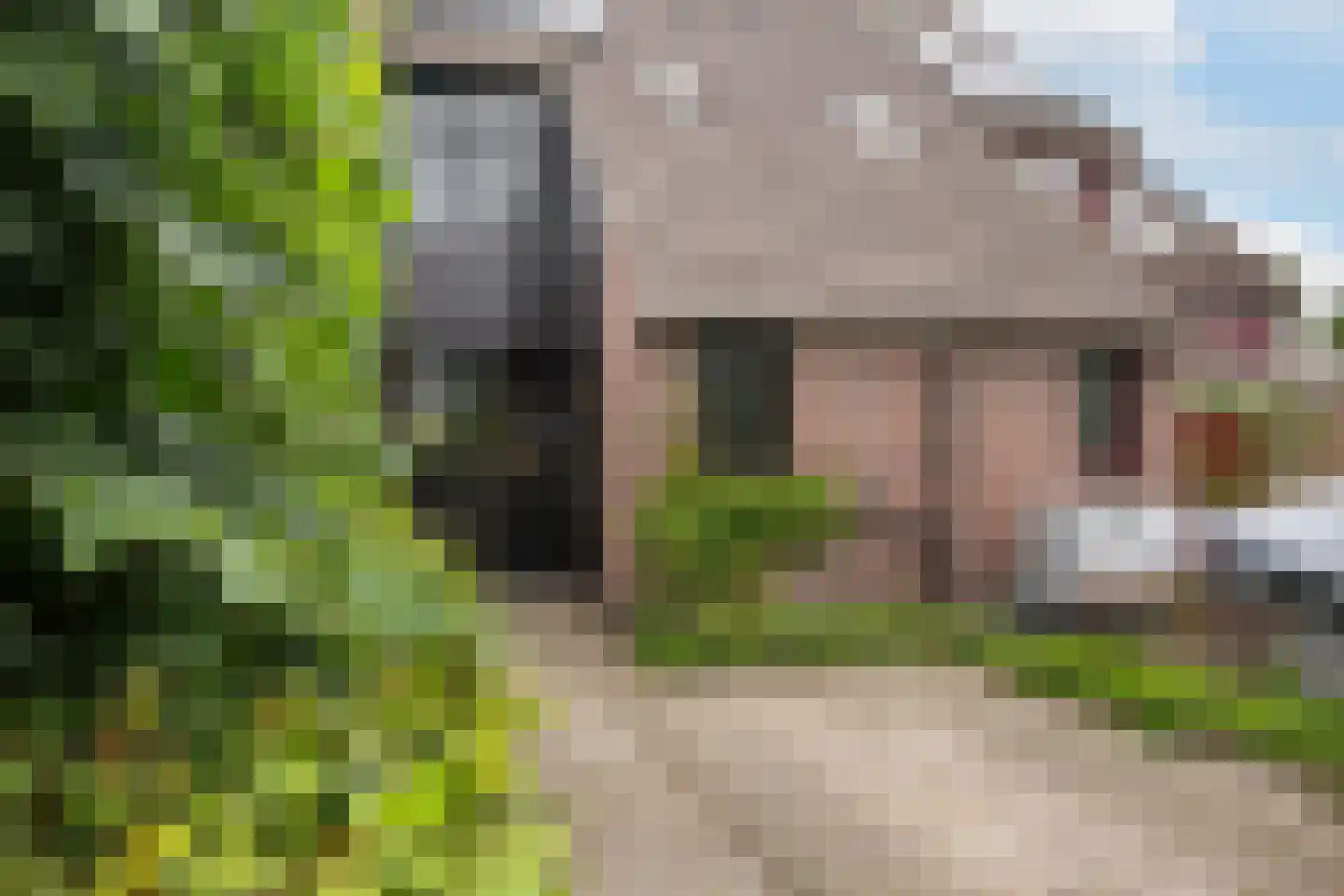 Lariksdreef 73 Vlaardingen thumbnail 11