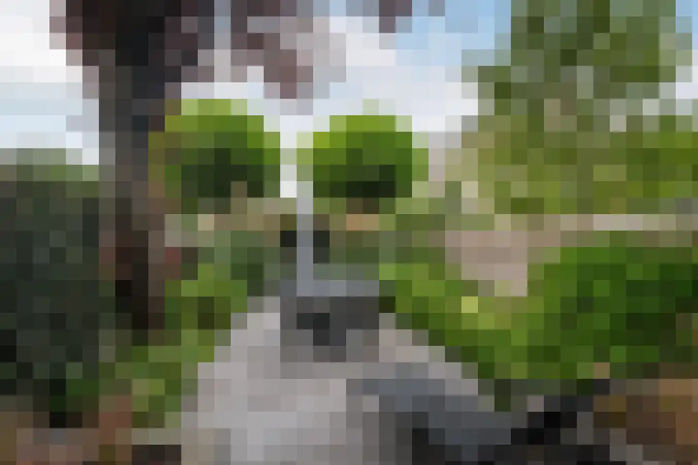 Lariksdreef 73 Vlaardingen thumbnail 21