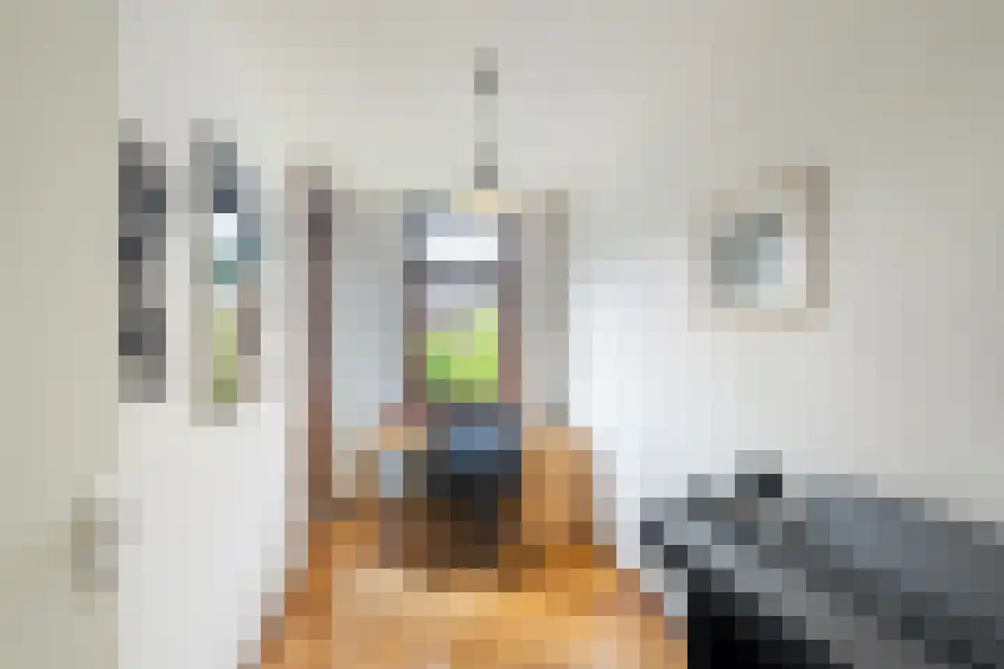 Lariksdreef 73 Vlaardingen thumbnail 30