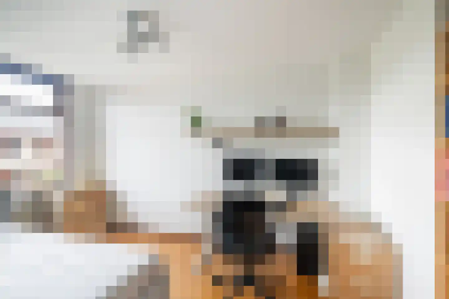Lariksdreef 73 Vlaardingen thumbnail 32