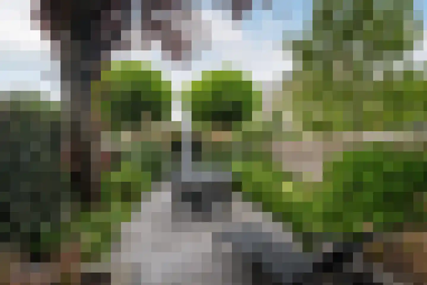 Lariksdreef 73 Vlaardingen thumbnail 6