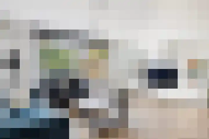 Larikshof 12 Papendrecht thumbnail 11