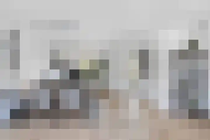 Larikshof 12 Papendrecht thumbnail 15