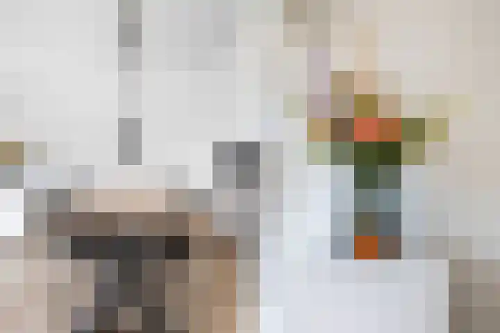 Larikshof 12 Papendrecht thumbnail 16