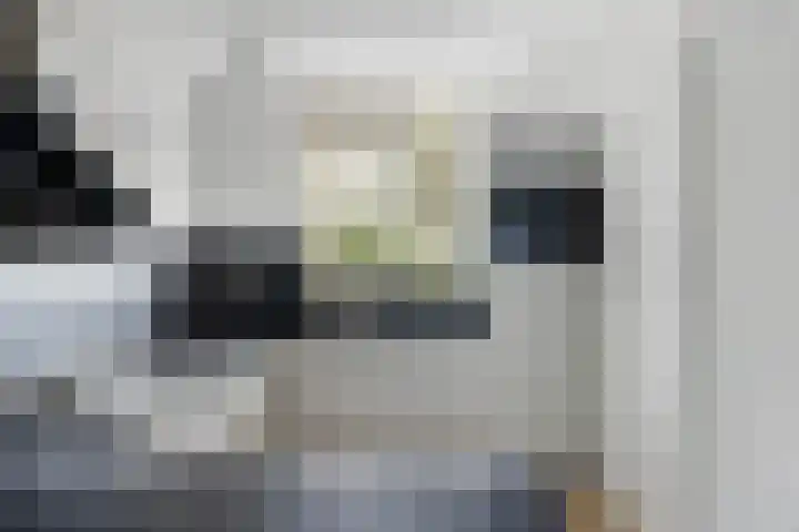 Larikshof 12 Papendrecht thumbnail 18