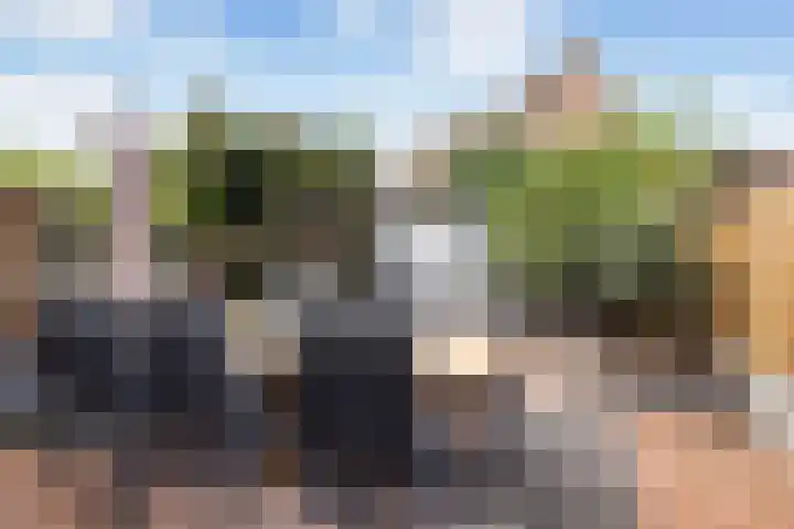 Larikshof 12 Papendrecht thumbnail 19