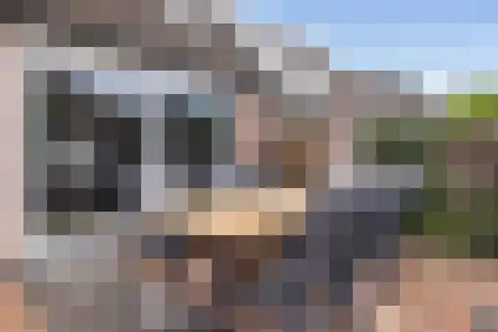 Larikshof 12 Papendrecht thumbnail 21