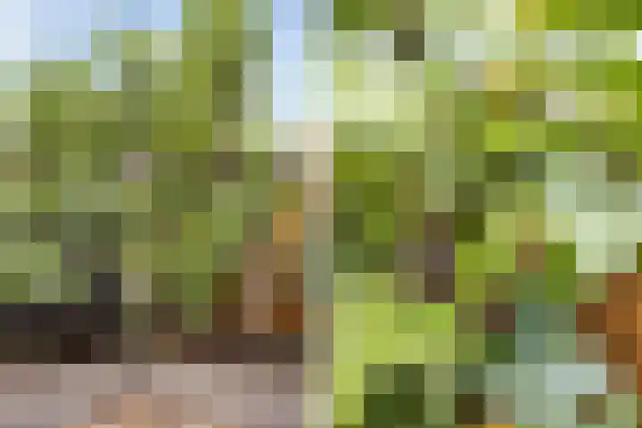 Larikshof 12 Papendrecht thumbnail 22