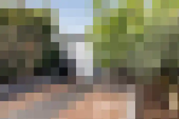 Larikshof 12 Papendrecht thumbnail 23