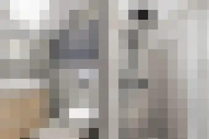 Larikshof 12 Papendrecht thumbnail 30
