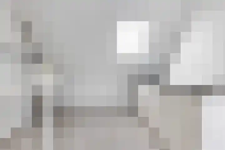 Larikshof 12 Papendrecht thumbnail 34