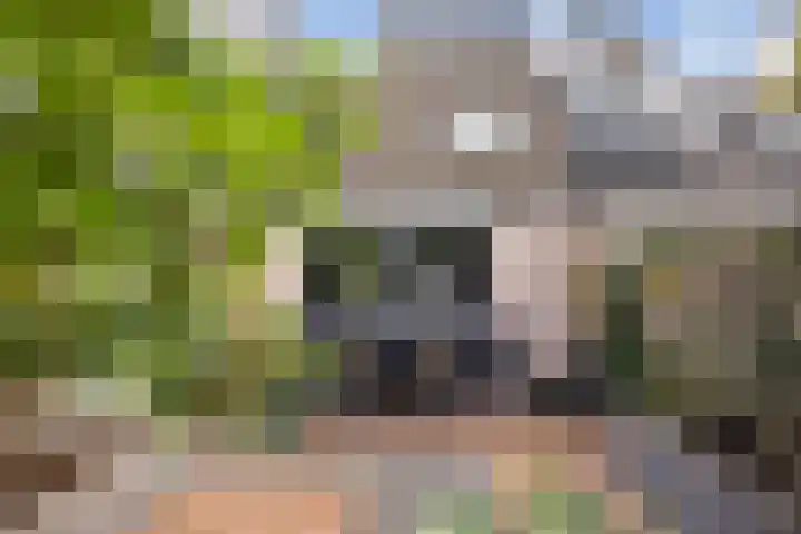Larikshof 12 Papendrecht thumbnail 5