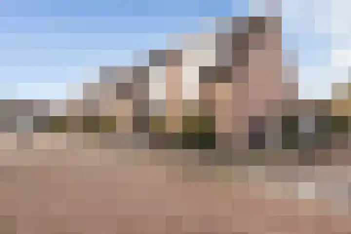 Larikshof 12 Papendrecht thumbnail 6